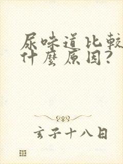 尿味道比较大是什么原因?