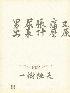 男尿胀痛又拉不出来什么原因