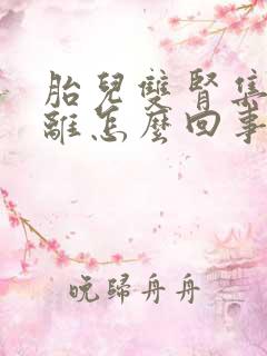 胎儿双肾集合分离怎么回事