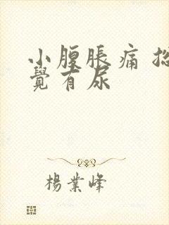 小腹胀痛 总感觉有尿