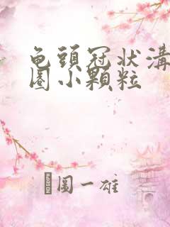 龟头冠状沟长一圈小颗粒