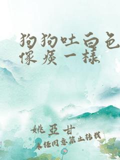 狗狗吐白色粘液像痰一样