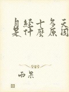 月经十多天不走是什么原因