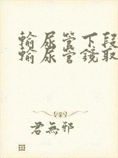 输尿管下段结石输尿管镜取石