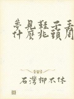 梦见鞋子丢了是什么兆头周公解梦