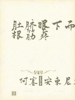 肚脐眼下面有一根筋疼