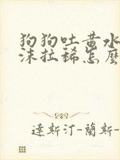 狗狗吐黄水带泡沫拉稀怎么办