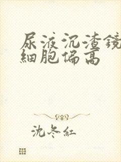 尿液沉渣镜检白细胞偏高