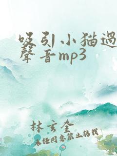 吸引小猫过来的声音mp3