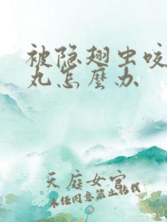 被隐翅虫咬到睾丸怎么办