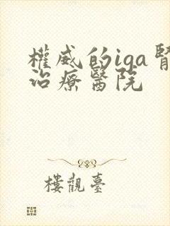 权威的iga肾治疗医院