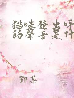 猫咪发出呼噜噜的声音是什么情况