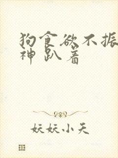 狗食欲不振没精神 趴着