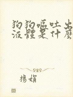 狗狗呕吐出黄色液体是什么原因