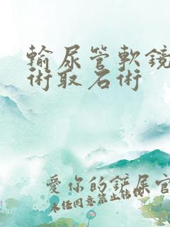 输尿管软镜碎石术取石术