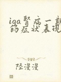 iga肾病一期的症状表现