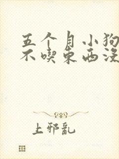 五个月小狗呕吐不吃东西没精神怎么办