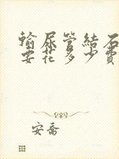 输尿管结石治疗要花多少费用