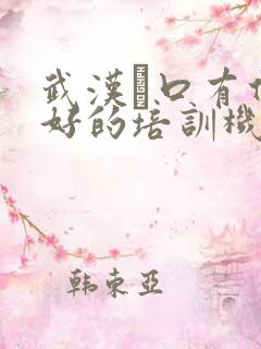 武汉硚口有什么好的培训机构