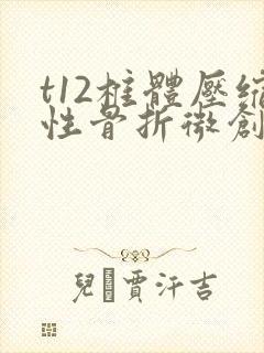 t12椎体压缩性骨折微创手术