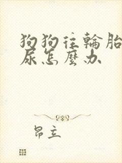 狗狗往轮胎上撒尿怎么办