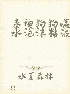 泰迪狗狗呕吐黄水泡沫粘液怎么办