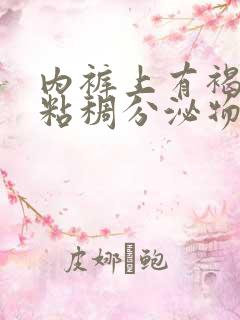 内裤上有褐色的粘稠分泌物