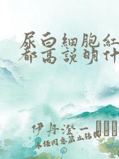 尿白细胞红细胞都高说明什么