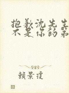 抱歉沈先生孩子不是你的第2集