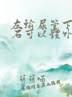 左输尿管下段结石可以体外碎石吗