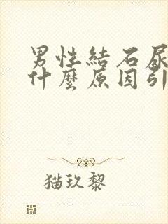 男性结石尿血是什么原因引起的