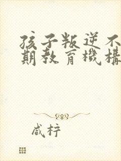 孩子叛逆不听话期教育机构