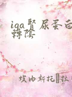 iga肾尿蛋白转阴