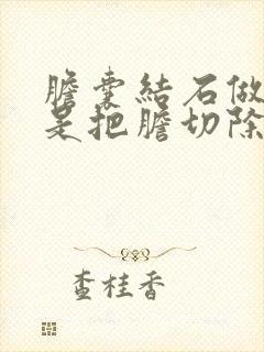 胆囊结石做手术是把胆切除了吗