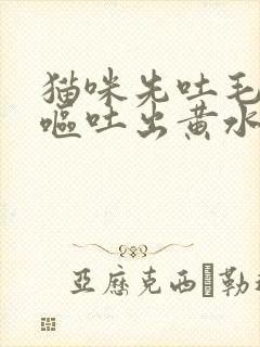 猫咪先吐毛球后呕吐出黄水