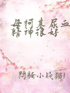 母柯基尿血但是精神很好