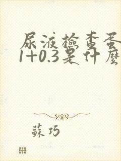 尿液检查蛋白质1+0.3是什么意思