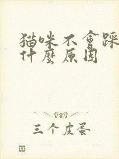 猫咪不会踩奶是什么原因