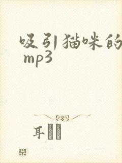 吸引猫咪的声音 mp3
