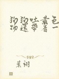 狗狗吐黄色粘稠物还带着一点食物