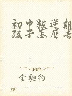 初中叛逆期的男孩子怎么去引导