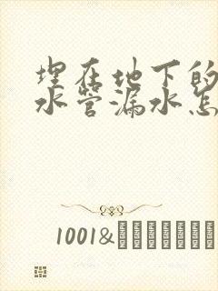 埋在地下的自来水管漏水怎么查