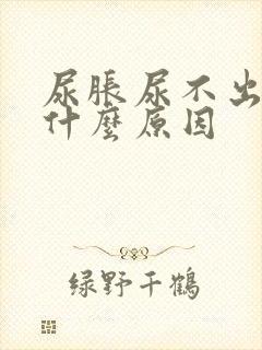 尿胀尿不出来是什么原因