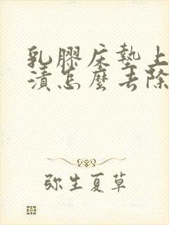 乳胶床垫上的尿渍怎么去除