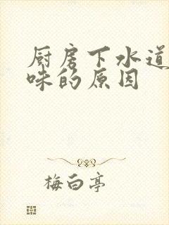 厨房下水道反臭味的原因