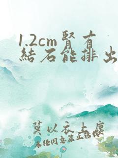 1.2cm肾有结石能排出来吗