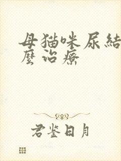 母猫咪尿结石怎么治疗