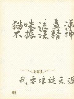 猫咪流鼻涕食欲不振没精神