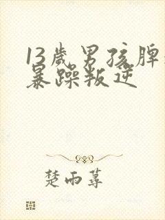 13岁男孩脾气暴躁叛逆