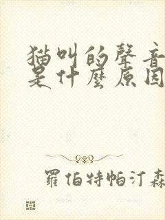 猫叫的声音很小是什么原因